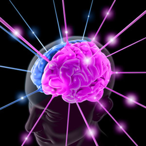 prostaglandina-e2-un-legame-tra-sistema-immunitario-e-cervello_2314