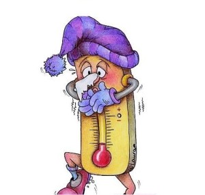 termometro1616340wh4hs0