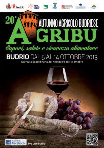 programma_agribu_2013