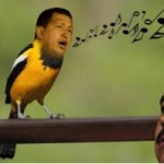 assenza carisma maduro