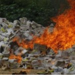 venezuela roghi schede